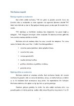 Referāts 'Marihuānas izmantošana ārstnieciskos nolūkos', 7.