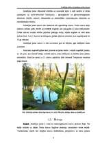 Referāts 'Arkādijas parka ekosistēmas raksturojums', 8.