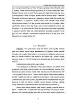 Referāts 'Arkādijas parka ekosistēmas raksturojums', 10.