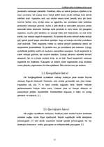 Referāts 'Arkādijas parka ekosistēmas raksturojums', 15.