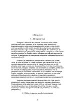 Konspekts 'Individuālās dzīvojamās mājas projekts', 28.