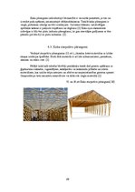 Konspekts 'Individuālās dzīvojamās mājas projekts', 29.