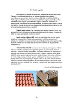 Konspekts 'Individuālās dzīvojamās mājas projekts', 33.