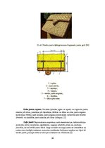 Konspekts 'Individuālās dzīvojamās mājas projekts', 36.