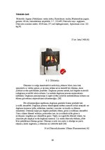 Konspekts 'Individuālās dzīvojamās mājas projekts', 38.