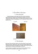 Konspekts 'Individuālās dzīvojamās mājas projekts', 49.