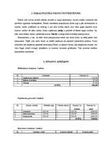 Konspekts 'Valodas apmācību sabiedrība "M-Valoda"', 3.