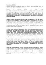 Referāts 'Ar autotransportu saistīto profesiju riski un to novēršana', 12.