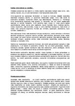 Referāts 'Ar autotransportu saistīto profesiju riski un to novēršana', 13.