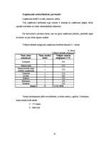 Biznesa plāns 'Atpūtas kompleksa izveide', 21.