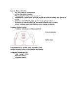 Konspekts 'Filosofiskas domas', 2.