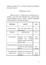 Referāts 'Viesu māja "Sārnata". 2.kategorija', 3.