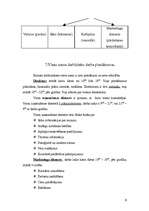 Referāts 'Viesu māja "Sārnata". 2.kategorija', 8.