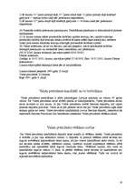 Referāts 'Vēlēšanu sistēma Latvijā', 19.