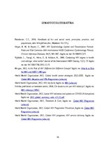 Referāts 'HIV izplatība pasaulē un sociālais darbs', 10.