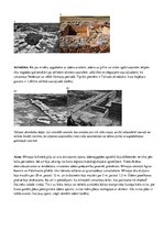 Konspekts 'Senā Krēta un Mīnojas civilizācija', 7.