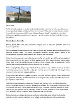 Konspekts 'Senā Krēta un Mīnojas civilizācija', 8.