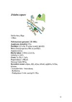 Referāts 'Slēpošana', 14.