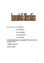 Referāts 'Slēpošana', 18.