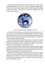 Referāts 'Suņu šķirne - angļu toiterjers', 17.