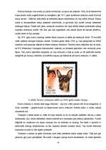 Referāts 'Suņu šķirne - angļu toiterjers', 18.