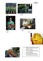 Referāts 'Kuba', 9.