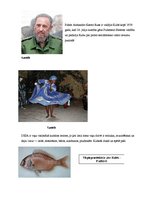 Referāts 'Kuba', 10.