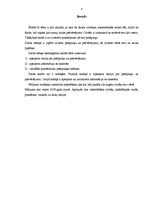 Referāts 'Pašapziņa un pašvērtējums', 4.