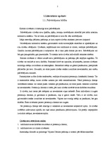 Referāts 'Pašapziņa un pašvērtējums', 5.