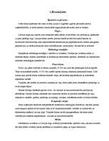 Prakses atskaite 'Prakses atskaite grāmatvedībā', 2.