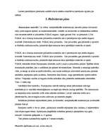 Prakses atskaite 'Prakses atskaite grāmatvedībā', 7.