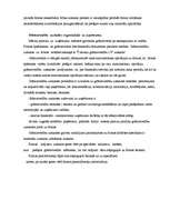 Prakses atskaite 'Prakses atskaite grāmatvedībā', 11.