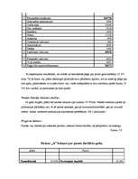 Prakses atskaite 'Prakses atskaite grāmatvedībā', 17.