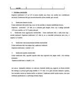 Prakses atskaite 'Prakses atskaite grāmatvedībā', 19.