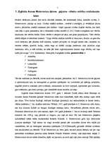 Referāts 'Zigfrīda Meierovica ētiskās vērtības', 5.