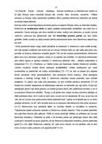 Referāts 'Zigfrīda Meierovica ētiskās vērtības', 16.