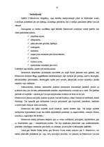 Referāts 'Zigfrīda Meierovica ētiskās vērtības', 19.