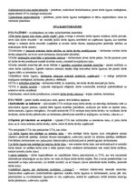 Konspekts 'Darba tiesisko attiecību raksturojums', 3.