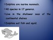 Prezentācija 'Dolphin', 2.