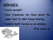 Prezentācija 'Dolphin', 4.