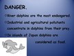 Prezentācija 'Dolphin', 8.