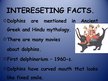 Prezentācija 'Dolphin', 13.