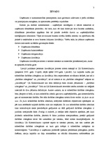 Referāts 'Uzņēmuma likvidācija', 2.