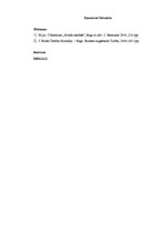 Referāts 'Dabisko tiesību attīstība', 13.