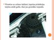 Prezentācija 'Paci kapela. Brunelleski', 6.