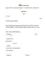 Paraugs 'Rīkojums par atvaļinājumu', 1.