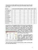 Referāts 'Interneta veikali', 8.