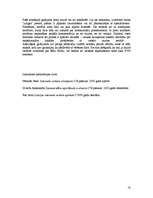 Referāts 'Interneta veikali', 18.