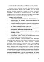 Referāts 'Korporatīvās kultūras būtība un nepieciešamība valsts iestādēs', 17.