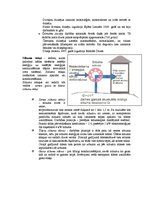 Konspekts 'Siltuma dzinēji', 2.